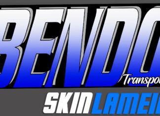 Skins Lameiro BENDO TRANSPORTES