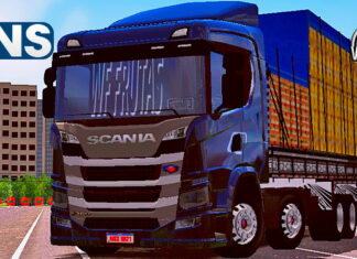 Skins Scania P320 Black WF FRUTAS