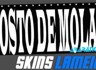 Skins Lameiro ‘POSTO DE MOLAS ARARANGUA’