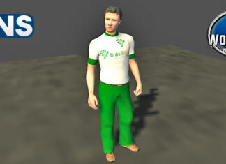 Skins Personagem ‘Empresa Grupo Brasil Novo’