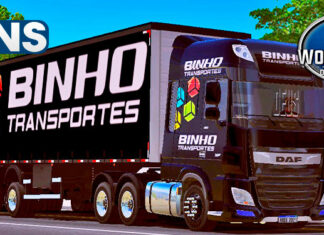 Skins DAF No Sider Binho Transportes