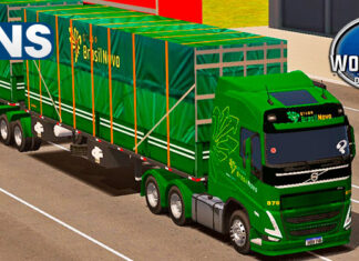 Skins Volvo FH No Rodotrem Conjunto GRUPO BRASIL NOVO