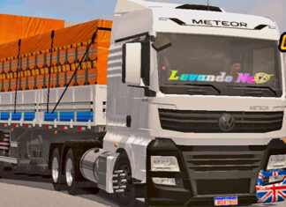 Skins VW Meteor Branco Qualificado Na Granel Com Frutas