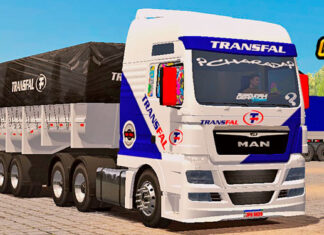 Skins MAN Transfal No RodoCaçamba