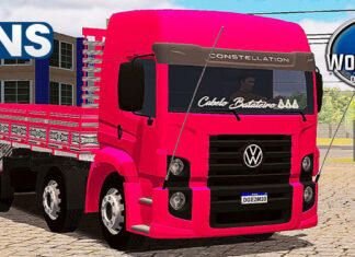 Skins VW Constellation Cabelo Batateiro ‘QUALIFICADO’